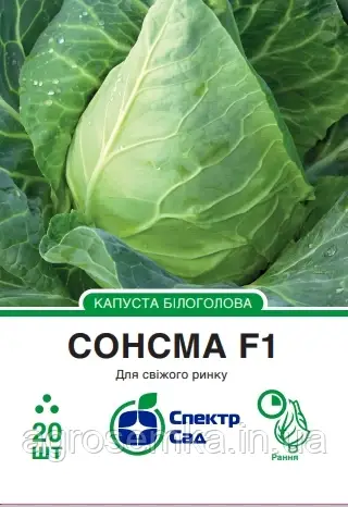 Білокачанна капуста Сонсма F1, 20 шт Спектр сад / Rijk Zwaan
