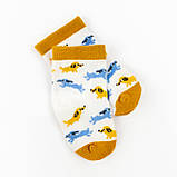 Шкарпетки дитячі Cute Dogs, фото 2