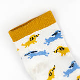 Шкарпетки дитячі Cute Dogs, фото 3