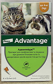 Краплі Elanco (Bayer) Advantage 40 для кішок до 4 кг