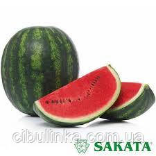 Кавун Сенсей F1 Sakata/Японія 10 шт (zip-paket), фото 1