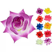 Головки квітів