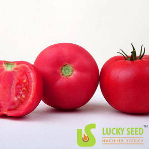 Насіння Томат індетермінантний Пінк Барбі F1, 250 насінин Lucky Seed, фото 3