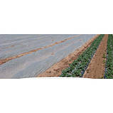 Агроволокно Щільність 30г/кв. м Біле AGREEN (2.1м х 100м), фото 5