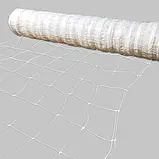 Сітка шпалерна біла Agreen квіткова 1,2х100 м (10х10), фото 2