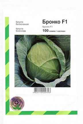 Насіння капусти Бронко F1, 100 насіння — середньо-поздня (80 днів), білокочана Bejo, фото 2