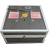 Інкубатор універсальний, 36/144 з автоматичним переворотом, пластикові лотки, для розведення свійської птиці, фото 2