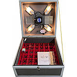 Інкубатор універсальний, 36/144 з автоматичним переворотом, пластикові лотки, для розведення свійської птиці, фото 3