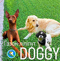 1кг ігровий газон ліліпут DOGGY це СПОРТ міні+ мікро конюшина біла витривала під навантаження