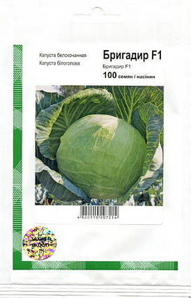 Насіння капусти Бригадир F1, 100 насіння — середньо-подня (110-120 днів), білокочана, Clause, фото 1