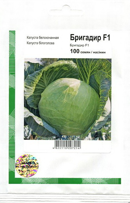 Семена капусты Бригадир F1, 100 семян средне-поздняя (110-120 дней), белокочанная, Clause - фото 1 - id-p454345780