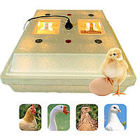 Побутовий інкубатор 72, мембранний терморегулятор, ламповий, з ручним переворотом яєць