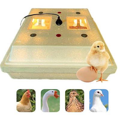 Инкубатор бытовой 70 | купить недорого, на Prom | Украина