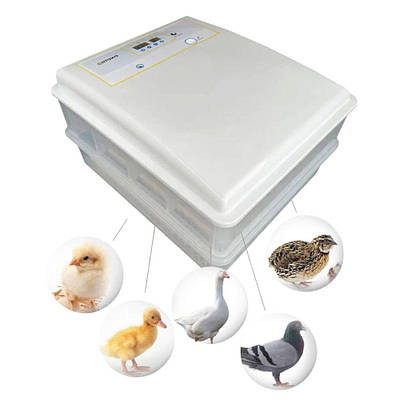 Инкубатор | купить недорого, на Prom | Украина