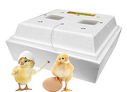 Інкубатор ІПМ-72 механічний переворот, мембранний, ламповий, для розведення свійської птиці