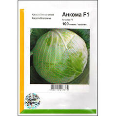 Насіння капусти Анкома F1, 100 сем — пізні (130 дн), для зберігання, білочана Rijk Zwaan