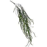 Зелень декоративна