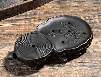 Чабань Гілка сливи чорний