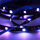 Комплект 2 шт Світлодіодна стрічка 5 м, від USB + пульт TV LED Strip CB-5050 / Лед підсвітка / RGB стрічка від повербанку, фото 9