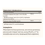 SFP Ginkgo Biloba Leaf Extract - 180 vcaps, фото 3