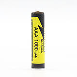 Батарея акумуляторна AAA, 1000mAh, 1,2V, 1 шт, LiitoKala Ni-10/AAA / Високострумовий акумулятор, фото 3