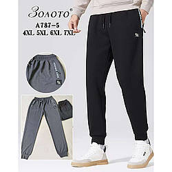 Чоловічі штани Батал "Фабричний Китай" Розміри: 52-58 (16220)