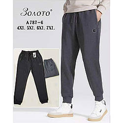 Чоловічі спортивні штани з манжетом "Фабричний Китай" Розміри: 52- 58 (16222)