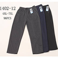 Чоловічі прямі спортивні штани "Фабричний Китай" Розміри: 54- 60 (16223)