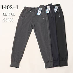 Чоловічі штани з манжетом Норма "Фабричний Китай" Розміри: 48,50,52,54 (16224)