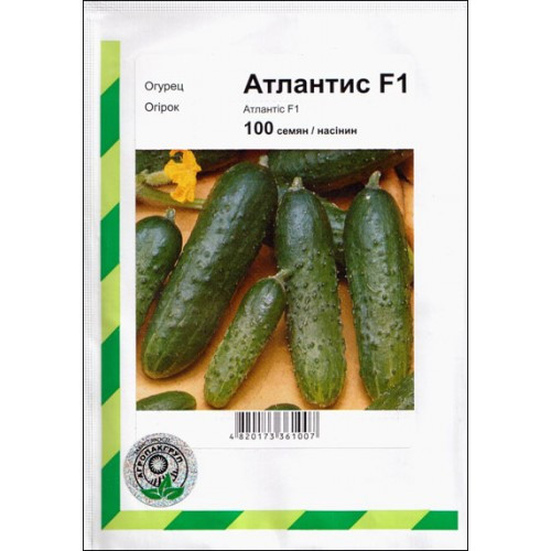 Насіння огірка Атлантіс F1, 100 сем — бджолозапильний, ранній гібрид (42-45 днів) Bejo