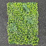 Самшитовий газонний килимок для фітостін, 40 × 60 см., фото 2