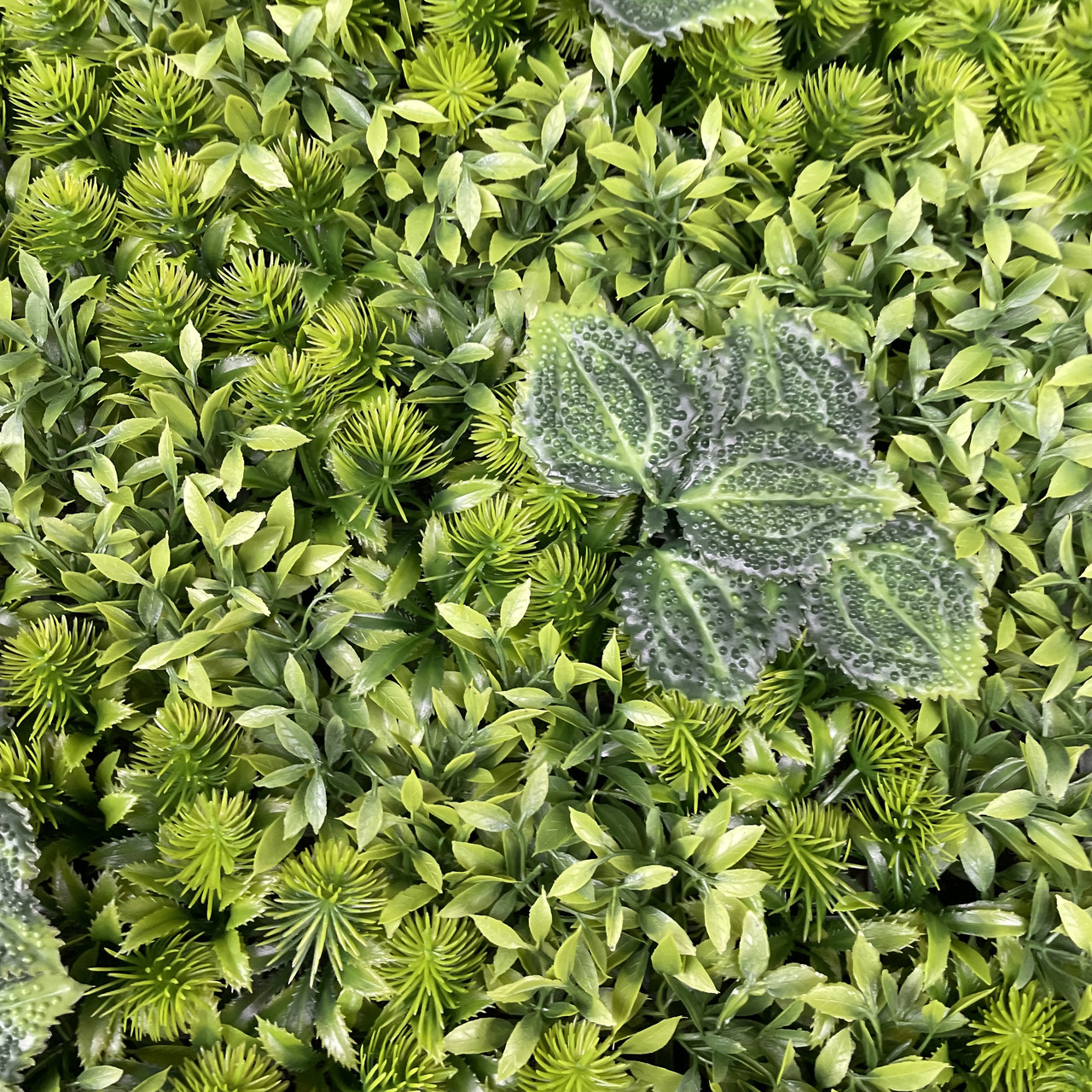 Самшитовий газонний килимок для фітостін, 40 × 60 см., фото 1