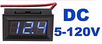 Вольтметр D-SUN DC 4,5-120 В (сині цифри)