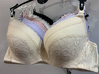 Бюст чашка В