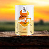 Коктейль LR Figu Active Поживний суп з Бататом та Гарбузом лр (Німеччина), компанія lr health & beauty, фото 2