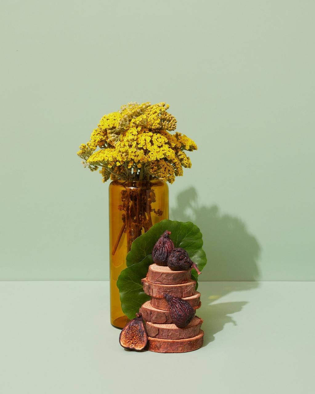 Аромоолія для свічок і дифузорів Makesy fig leaf & galbanum листя інжиру та гальбанум,рамів