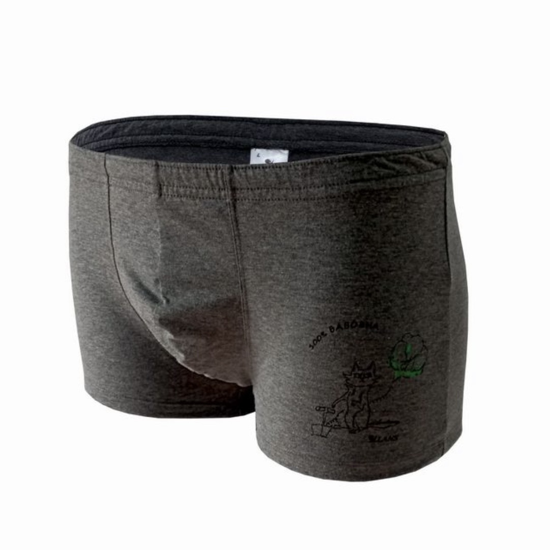 Чоловічі боксерки Lans 07/026 Кіт з написом антрацит сірі (розміри: M-4XL), фото 1