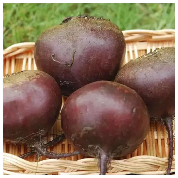 Насіння буряка столового Червона куля 2 Польща 20г