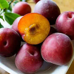 Ексклюзив! Гібрид персик-абрикос "Королівський десерт"