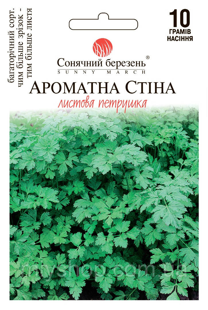 Петрушка Ароматна стіна 10 г ТМ Сонячний березень, фото 1
