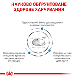 Royal Canin DOG Hypoallergenic для дорослих собак із харчовою непереносимістю 2кг, фото 6
