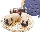 Іграшка антистрес пес, що розтягується Бульдог