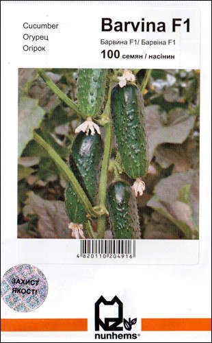 БАРВІНА F1 / BARVINA F1, 100 насіння — огірок партенокарпічний, Nunhems