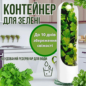 Органайзер-контейнер для зберігання зелені Herb Saver, білий