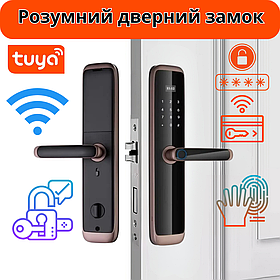 Розумний дверний замок кодовий з відбитком пальця і ключ-карткою KHS-X06, бронзовий