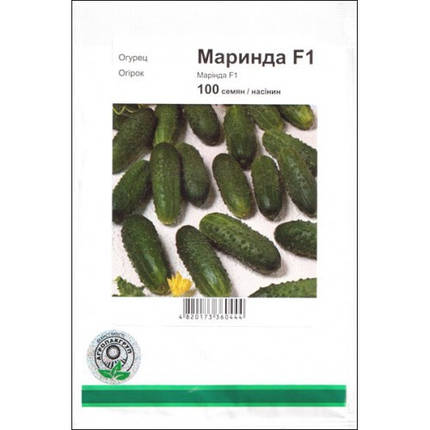 Насіння огірка Маринда F1, 100 насіння — ультрараний гібрид (40-45 днів), партенокарпік, Seminis, фото 1
