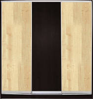 Шафа-купе Luxe Studio Стандарт-1 ДСП-2 2100x2000x450 тридверна (26229)