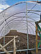 Каркас 5х10м теплиці плівковий від виробника, фото 7