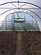 Каркас 5х20м теплиці плівковий від виробника, фото 10