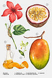 Zara Жіночий аромат HIBISCUS 90 ML, фото 4